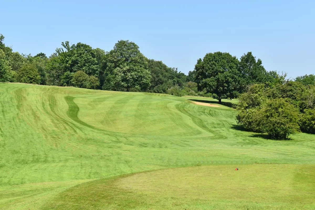 Image hover effect image