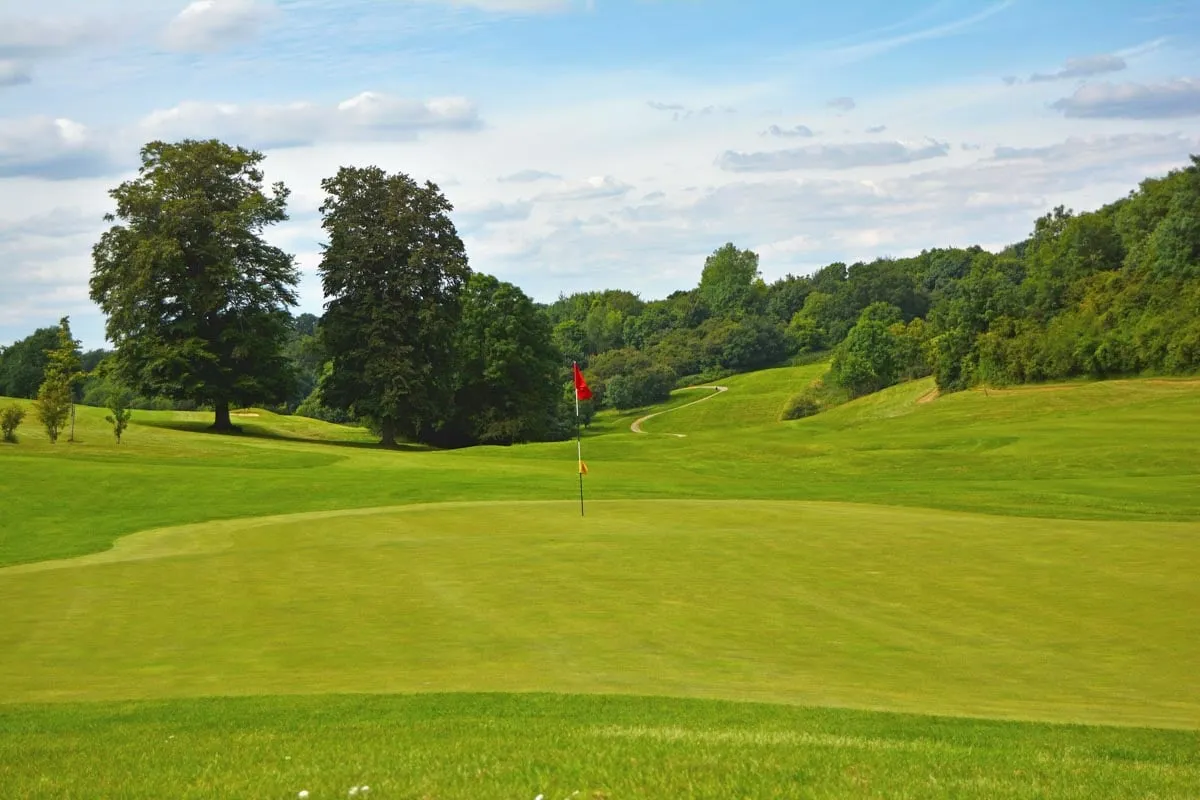 Image hover effect image